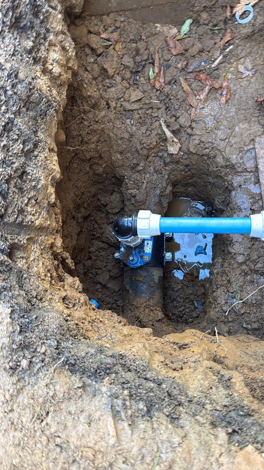 Moling project 1 — job complete